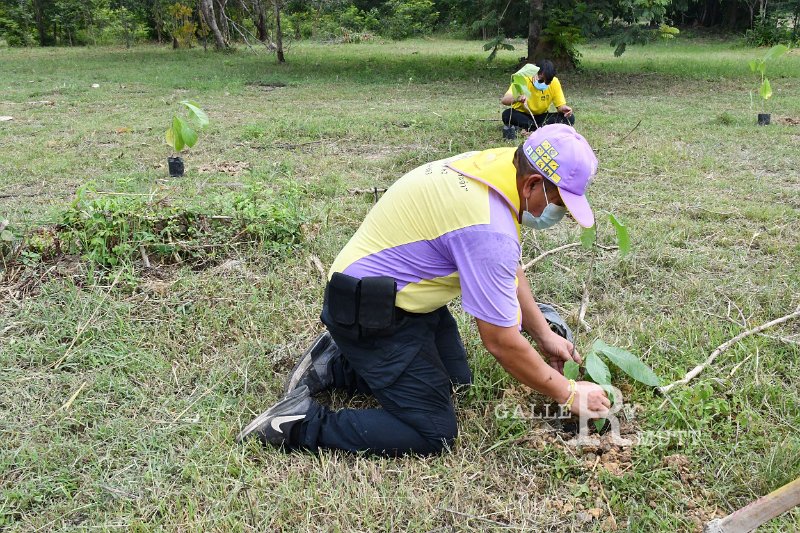 20210526-Tree planting dayt-171.JPG